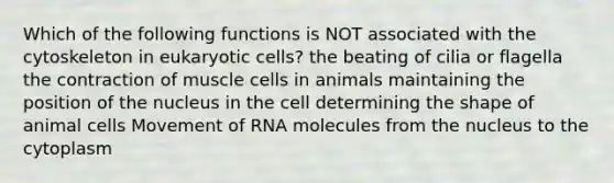 Which of the following functions is NOT associated with the cytoskeleton in eukaryotic cells? the beating of cilia or flagella the contraction of muscle cells in animals maintaining the position of the nucleus in the cell determining the shape of animal cells Movement of RNA molecules from the nucleus to the cytoplasm