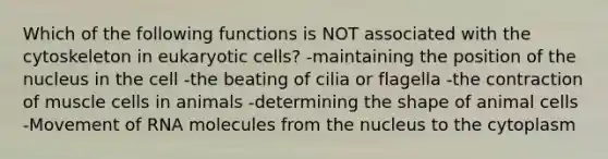 Which of the following functions is NOT associated with the cytoskeleton in eukaryotic cells? -maintaining the position of the nucleus in the cell -the beating of cilia or flagella -the contraction of muscle cells in animals -determining the shape of animal cells -Movement of RNA molecules from the nucleus to the cytoplasm