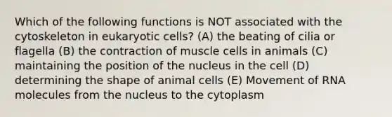 Which of the following functions is NOT associated with the cytoskeleton in eukaryotic cells? (A) the beating of cilia or flagella (B) the contraction of muscle cells in animals (C) maintaining the position of the nucleus in the cell (D) determining the shape of animal cells (E) Movement of RNA molecules from the nucleus to the cytoplasm