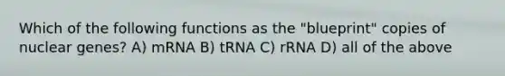 Which of the following functions as the "blueprint" copies of nuclear genes? A) mRNA B) tRNA C) rRNA D) all of the above