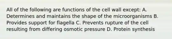 All of the following are functions of the cell wall except: A. Determines and maintains the shape of the microorganisms B. Provides support for flagella C. Prevents rupture of the cell resulting from differing osmotic pressure D. Protein synthesis