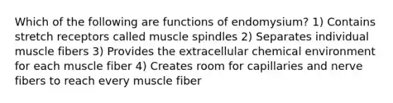 Which of the following are functions of endomysium? 1) Contains stretch receptors called muscle spindles 2) Separates individual muscle fibers 3) Provides the extracellular chemical environment for each muscle fiber 4) Creates room for capillaries and nerve fibers to reach every muscle fiber