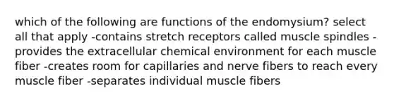 which of the following are functions of the endomysium? select all that apply -contains stretch receptors called muscle spindles -provides the extracellular chemical environment for each muscle fiber -creates room for capillaries and nerve fibers to reach every muscle fiber -separates individual muscle fibers