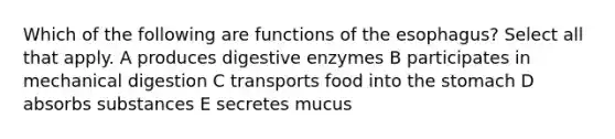 Which of the following are functions of the esophagus? Select all that apply. A produces <a href='https://www.questionai.com/knowledge/kK14poSlmL-digestive-enzymes' class='anchor-knowledge'>digestive enzymes</a> B participates in mechanical digestion C transports food into the stomach D absorbs substances E secretes mucus