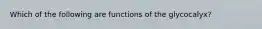 Which of the following are functions of the glycocalyx?