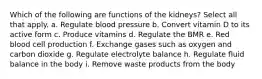 Which of the following are functions of the kidneys? Select all that apply. a. Regulate blood pressure b. Convert vitamin D to its active form c. Produce vitamins d. Regulate the BMR e. Red blood cell production f. Exchange gases such as oxygen and carbon dioxide g. Regulate electrolyte balance h. Regulate fluid balance in the body i. Remove waste products from the body