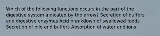 Which of the following functions occurs in the part of the digestive system indicated by the arrow? Secretion of buffers and digestive enzymes Acid breakdown of swallowed foods Secretion of bile and buffers Absorption of water and ions