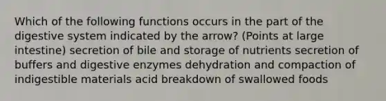 Which of the following functions occurs in the part of the digestive system indicated by the arrow? (Points at large intestine) secretion of bile and storage of nutrients secretion of buffers and digestive enzymes dehydration and compaction of indigestible materials acid breakdown of swallowed foods