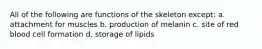 All of the following are functions of the skeleton except: a. attachment for muscles b. production of melanin c. site of red blood cell formation d. storage of lipids