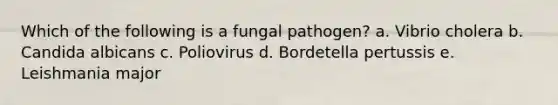 Which of the following is a fungal pathogen? a. Vibrio cholera b. Candida albicans c. Poliovirus d. Bordetella pertussis e. Leishmania major