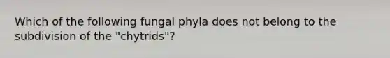 Which of the following fungal phyla does not belong to the subdivision of the "chytrids"?