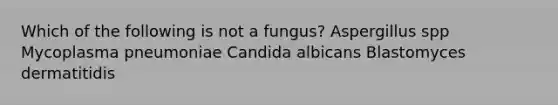 Which of the following is not a fungus? Aspergillus spp Mycoplasma pneumoniae Candida albicans Blastomyces dermatitidis