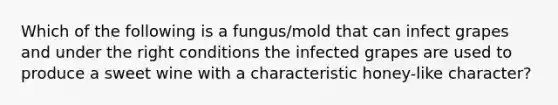 Which of the following is a fungus/mold that can infect grapes and under the right conditions the infected grapes are used to produce a sweet wine with a characteristic honey-like character?