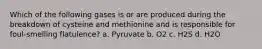 Which of the following gases is or are produced during the breakdown of cysteine and methionine and is responsible for foul-smelling flatulence? a. Pyruvate b. O2 c. H2S d. H2O