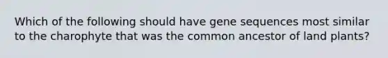 Which of the following should have gene sequences most similar to the charophyte that was the common ancestor of land plants?