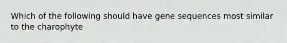 Which of the following should have gene sequences most similar to the charophyte