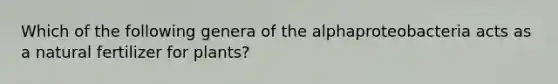 Which of the following genera of the alphaproteobacteria acts as a natural fertilizer for plants?