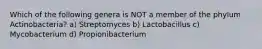 Which of the following genera is NOT a member of the phylum Actinobacteria? a) Streptomyces b) Lactobacillus c) Mycobacterium d) Propionibacterium