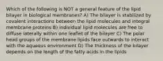 Which of the following is NOT a general feature of the lipid bilayer in biological membranes? A) The bilayer is stabilized by covalent interactions between the lipid molecules and integral membrane proteins B) individual lipid molecules are free to diffuse laterally within one leaflet of the bilayer C) The polar head groups of the membrane lipids face outwards to interact with the aqueous environment D) The thickness of the bilayer depends on the length of the fatty acids in the lipids