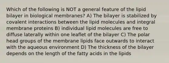 Which of the following is NOT a general feature of the lipid bilayer in biological membranes? A) The bilayer is stabilized by covalent interactions between the lipid molecules and integral membrane proteins B) individual lipid molecules are free to diffuse laterally within one leaflet of the bilayer C) The polar head groups of the membrane lipids face outwards to interact with the aqueous environment D) The thickness of the bilayer depends on the length of the fatty acids in the lipids