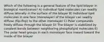 Which of the following is a general feature of the lipid bilayer in biological membranes? A) Individual lipid molecules can readily diffuse laterally in the surface of the bilayer B) Individual lipid molecules in one face (monolayer) of the bilayer can readily diffuse (flip-flop) to the other monolayer C) Polar compounds freely diffuse through the bilayer D) The bilayer is stabilized by covalent bonds between neighboring phospholipid molecules E) The polar head groups in each monolayer face inward toward the inside of the bilayer