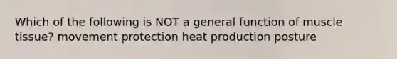 Which of the following is NOT a general function of muscle tissue? movement protection heat production posture