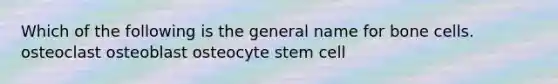 Which of the following is the general name for bone cells. osteoclast osteoblast osteocyte stem cell