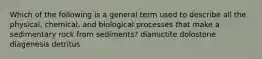 Which of the following is a general term used to describe all the physical, chemical, and biological processes that make a sedimentary rock from sediments? diamictite dolostone diagenesis detritus