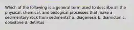 Which of the following is a general term used to describe all the physical, chemical, and biological processes that make a sedimentary rock from sediments? a. diagenesis b. diamicton c. dolostone d. detritus