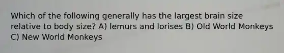 Which of the following generally has the largest brain size relative to body size? A) lemurs and lorises B) Old World Monkeys C) New World Monkeys