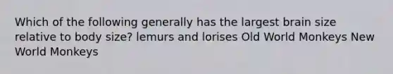Which of the following generally has the largest brain size relative to body size? lemurs and lorises Old World Monkeys New World Monkeys