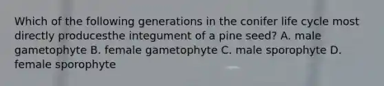 Which of the following generations in the conifer life cycle most directly producesthe integument of a pine seed? A. male gametophyte B. female gametophyte C. male sporophyte D. female sporophyte