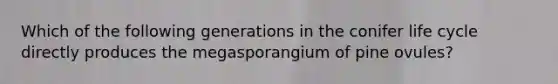 Which of the following generations in the conifer life cycle directly produces the megasporangium of pine ovules?