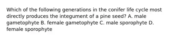 Which of the following generations in the conifer life cycle most directly produces the integument of a pine seed? A. male gametophyte B. female gametophyte C. male sporophyte D. female sporophyte