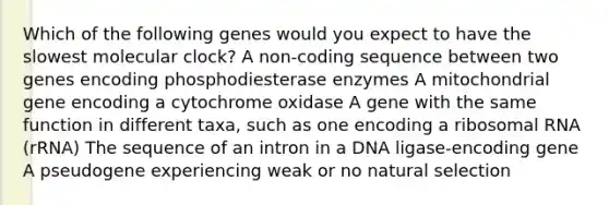 Which of the following genes would you expect to have the slowest molecular clock? A non-coding sequence between two genes encoding phosphodiesterase enzymes A mitochondrial gene encoding a cytochrome oxidase A gene with the same function in different taxa, such as one encoding a ribosomal RNA (rRNA) The sequence of an intron in a DNA ligase-encoding gene A pseudogene experiencing weak or no natural selection