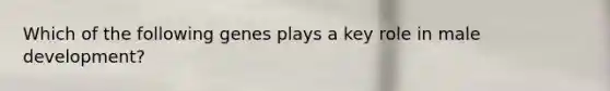Which of the following genes plays a key role in male development?