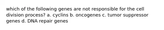 which of the following genes are not responsible for the cell division process? a. cyclins b. oncogenes c. tumor suppressor genes d. DNA repair genes