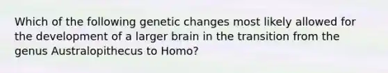 Which of the following genetic changes most likely allowed for the development of a larger brain in the transition from the genus Australopithecus to Homo?