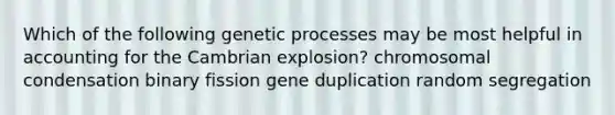 Which of the following genetic processes may be most helpful in accounting for the Cambrian explosion? chromosomal condensation binary fission gene duplication random segregation