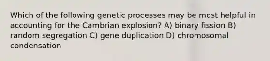 Which of the following genetic processes may be most helpful in accounting for the Cambrian explosion? A) binary fission B) random segregation C) gene duplication D) chromosomal condensation