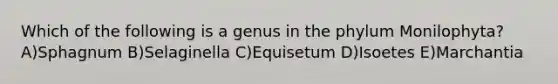 Which of the following is a genus in the phylum Monilophyta? A)Sphagnum B)Selaginella C)Equisetum D)Isoetes E)Marchantia