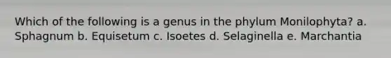 Which of the following is a genus in the phylum Monilophyta? a. Sphagnum b. Equisetum c. Isoetes d. Selaginella e. Marchantia
