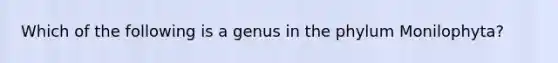 Which of the following is a genus in the phylum Monilophyta?