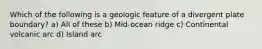 Which of the following is a geologic feature of a divergent plate boundary? a) All of these b) Mid-ocean ridge c) Continental volcanic arc d) Island arc