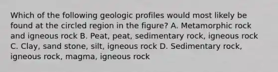 Which of the following geologic profiles would most likely be found at the circled region in the figure? A. Metamorphic rock and igneous rock B. Peat, peat, sedimentary rock, igneous rock C. Clay, sand stone, silt, igneous rock D. Sedimentary rock, igneous rock, magma, igneous rock