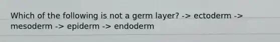 Which of the following is not a germ layer? -> ectoderm -> mesoderm -> epiderm -> endoderm