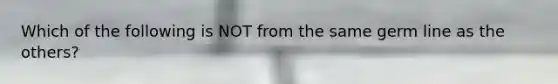 Which of the following is NOT from the same germ line as the others?