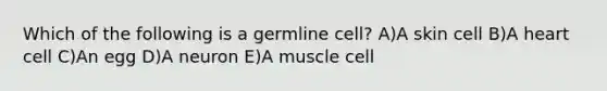 Which of the following is a germline cell? A)A skin cell B)A heart cell C)An egg D)A neuron E)A muscle cell