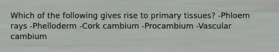 Which of the following gives rise to primary tissues? -Phloem rays -Phelloderm -Cork cambium -Procambium -Vascular cambium