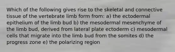 Which of the following gives rise to the skeletal and connective tissue of the vertebrate limb form from: a) the ectodermal epithelium of the limb bud b) the mesodermal mesenchyme of the limb bud, derived from lateral plate ectoderm c) mesodermal cells that migrate into the limb bud from the somites d) the progress zone e) the polarizing region